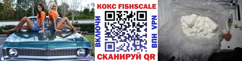 Cocaine Fish Scale MEGA онион Холм