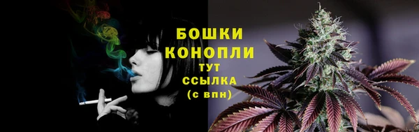 PSILOCYBIN Абдулино