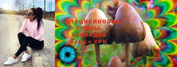 PSILOCYBIN Абдулино