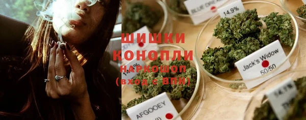 ECSTASY Тайга