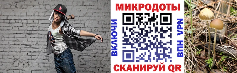 Псилоцибиновые грибы мицелий  площадка телеграм  Холм 